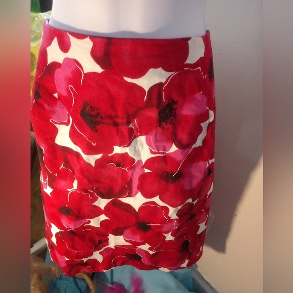 BRIGGS New York Skirt - Picture 2 of 11